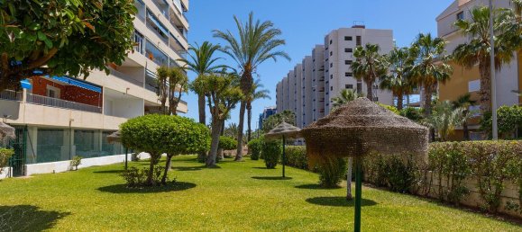 3 bedrooms Apartment in Torrevieja, Spain No. 137854 30