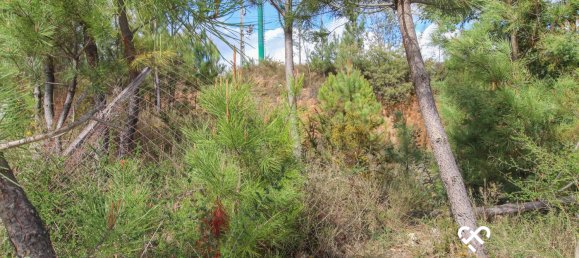 Terreno en Viseu, Portugal No. 78270 3