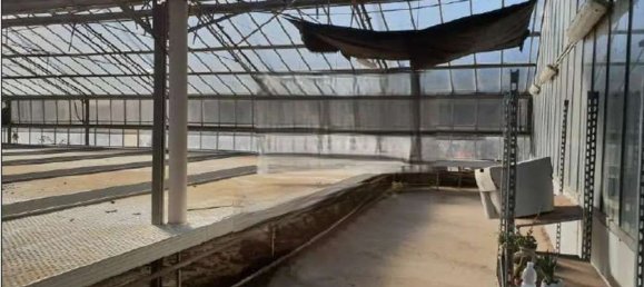 Коммерческая недвижимость 45000м² в Помеция, Италия № 287641 6