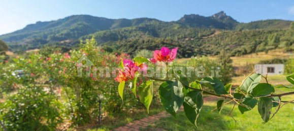 5 rooms Hotel in Torpè, Italy No. 91798 17