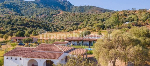 5 rooms Hotel in Torpè, Italy No. 91798 3