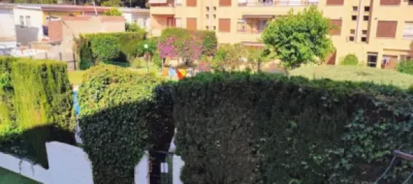 2 bedrooms Apartment in San Pedro del Pinatar, Spain No. 171254 49