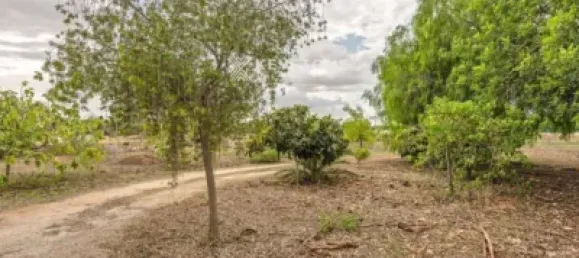 3 bedrooms House in Llucmajor, Spain No. 173913 14