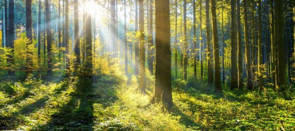 Terreno en Regensburg, Germany 2193 m² No. 135815 3