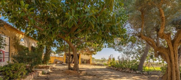 6 chambres Maison à Los Montesinos, Spain No. 176069 11