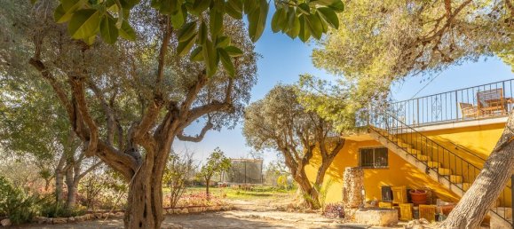 6 chambres Maison à Los Montesinos, Spain No. 176069 12