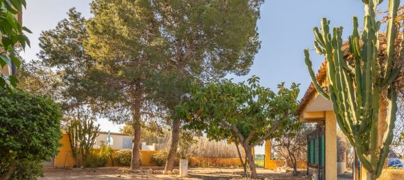 6 chambres Maison à Los Montesinos, Spain No. 176069 10