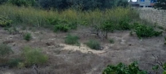 2500m² Land in Absheron, Azerbaijan No. 26 2