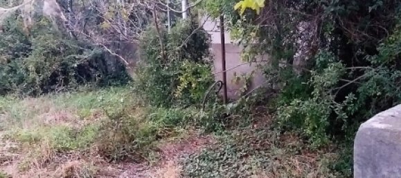 2500m² Land in Absheron, Azerbaijan No. 26 5