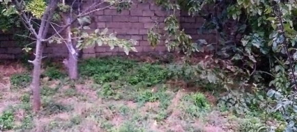 2500m² Land in Absheron, Azerbaijan No. 26 12