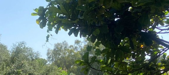 Вилла с 5 спальнями в Михас, Испания № 141841 28