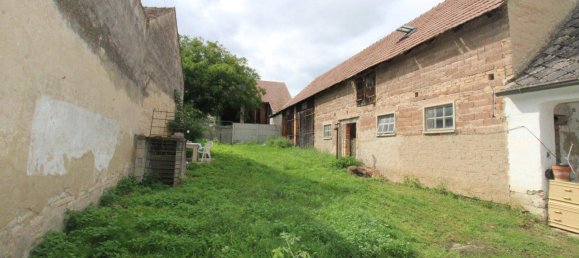 6 rooms House in Jedenspeigen, Austria No. 218098 26