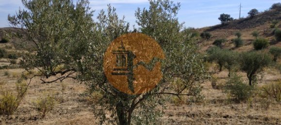 2000m² Land in Castro Marim, Portugal No. 130463 26