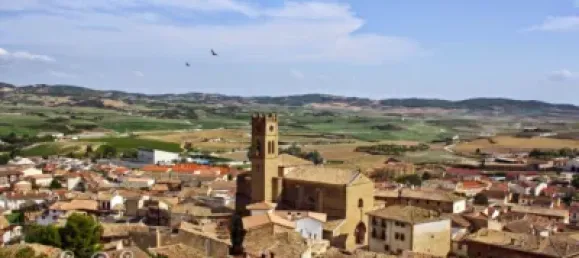 Grundstück in Chartered Community of Navarre, Spain, Nr. 184833 3