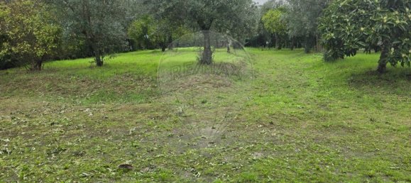 Дом с 4 спальнями в Aguas Belas, Португалия № 26419 16