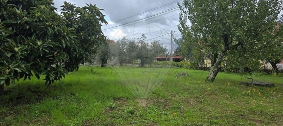 Дом с 4 спальнями в Aguas Belas, Португалия № 26419 31