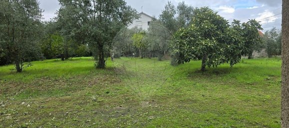 Дом с 4 спальнями в Aguas Belas, Португалия № 26419 28