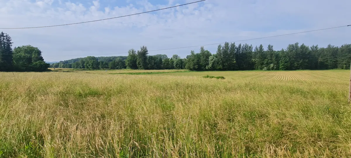959m² Land in Bettendorf, France No. 266733