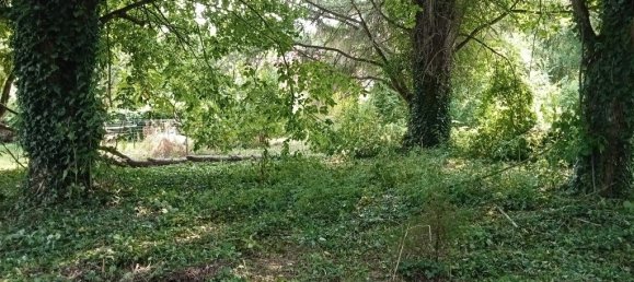 1 Schlafzimmer Haus in Montmirail, France, Nr. 80988 9