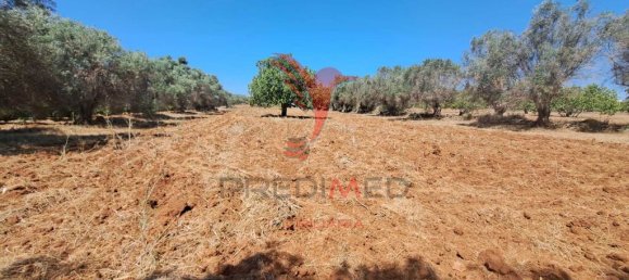 Terreno en Paderne, Portugal 20800 m² No. 50908 8