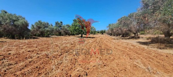 Terreno en Paderne, Portugal 20800 m² No. 50908 13