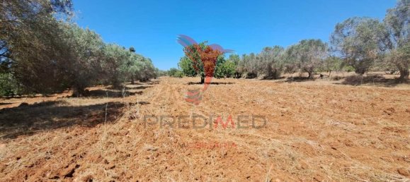 Terreno en Paderne, Portugal 20800 m² No. 50908 12