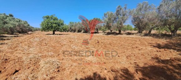 Terreno en Paderne, Portugal 20800 m² No. 50908 7