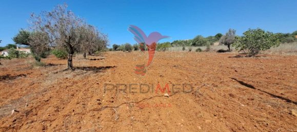 Terreno en Paderne, Portugal 20800 m² No. 50908 5