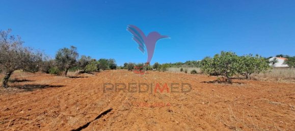 Terreno en Paderne, Portugal 20800 m² No. 50908 9