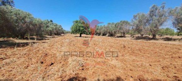 Terreno en Paderne, Portugal 20800 m² No. 50908 10