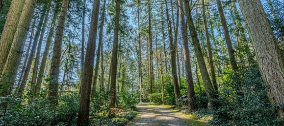  Castillos de 4 dormitorios en La Chapelle-sur-Erdre, France No. 102943 2