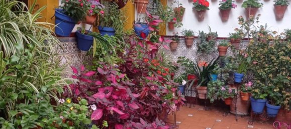 3 bedrooms House in Cordoba, Spain No. 160883 32