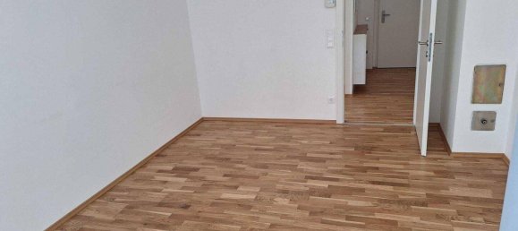 3 rooms Apartment in Purbach am Neusiedler See, Austria No. 230083 11
