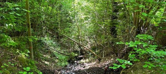 5غرفة منزل في Ardning, Austria رقم 64738 11