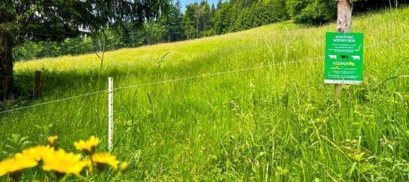 5غرفة منزل في Ardning, Austria رقم 64738 10