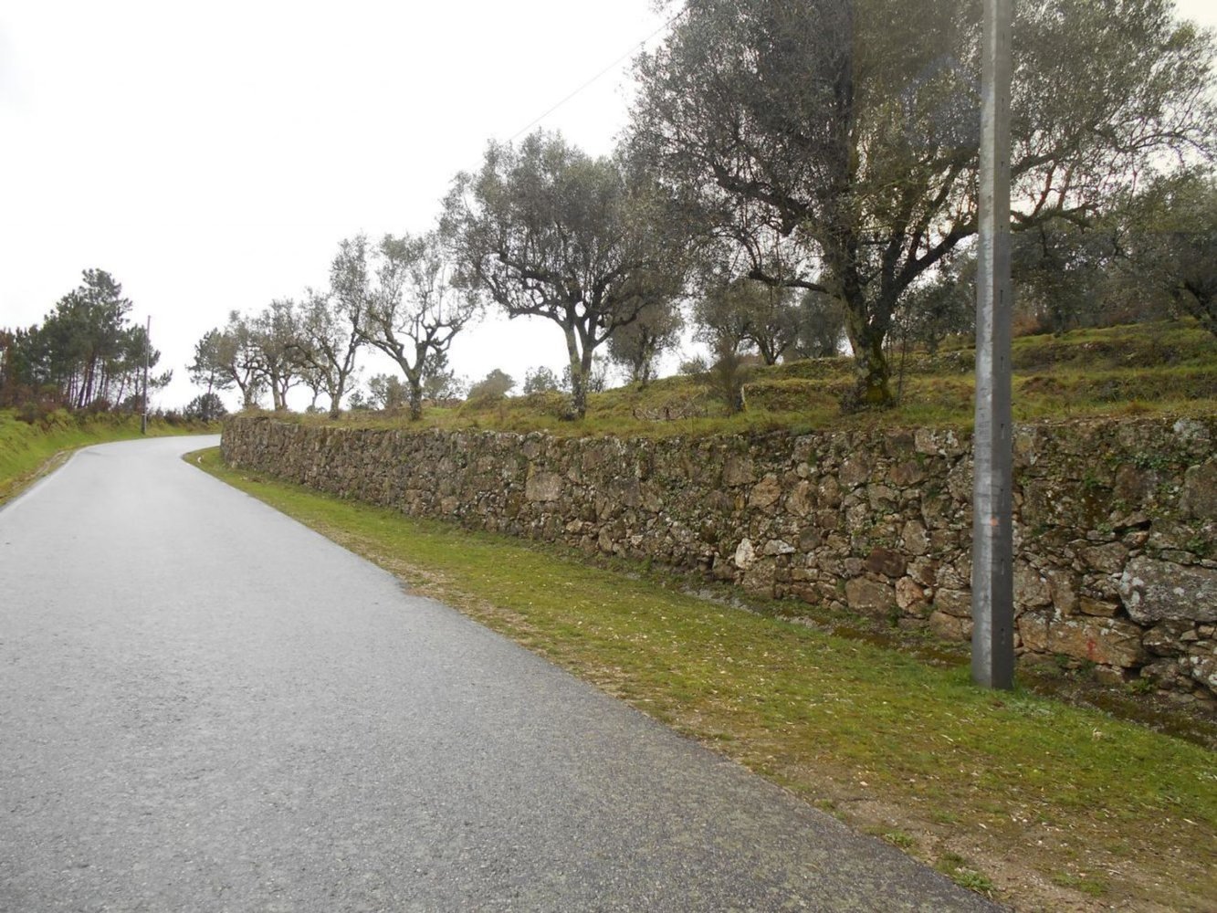  Land in Mangualde, Portugal No. 258896