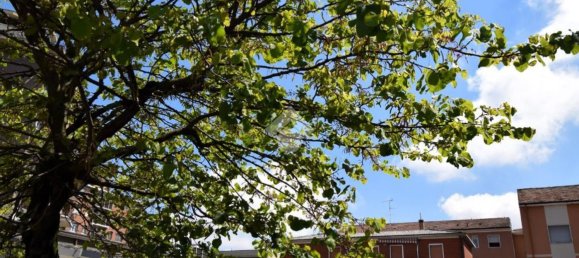 2 rooms Apartment in Rozzano, Italy No. 330327 20