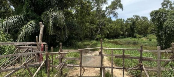  Commercial property in Bang Tao, Thailand No. 13430 5