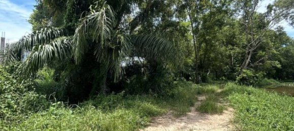  Commercial property in Bang Tao, Thailand No. 13430 4