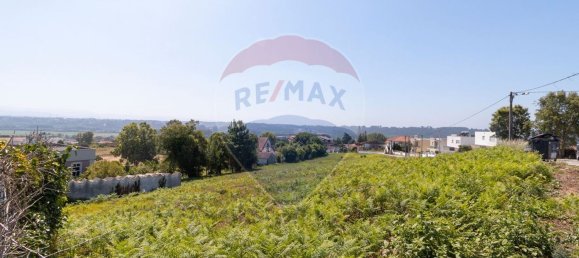 Terrain à Albergaria a Velha, Portugal 3985m² No. 72188 7