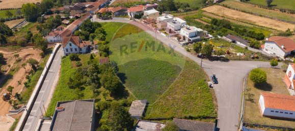 Terrain à Albergaria a Velha, Portugal 3985m² No. 72188 4