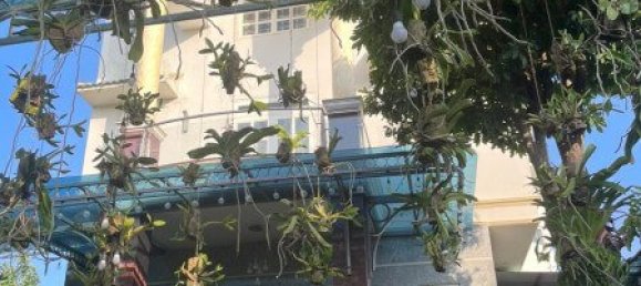 1050m² House in Nha Be, Vietnam No. 13058 2