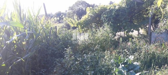 5 bedrooms House in Baiao, Portugal No. 82480 18