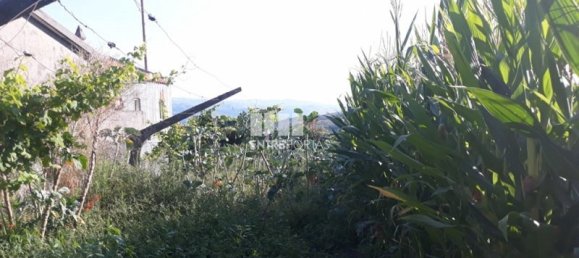 5 bedrooms House in Baiao, Portugal No. 82480 16