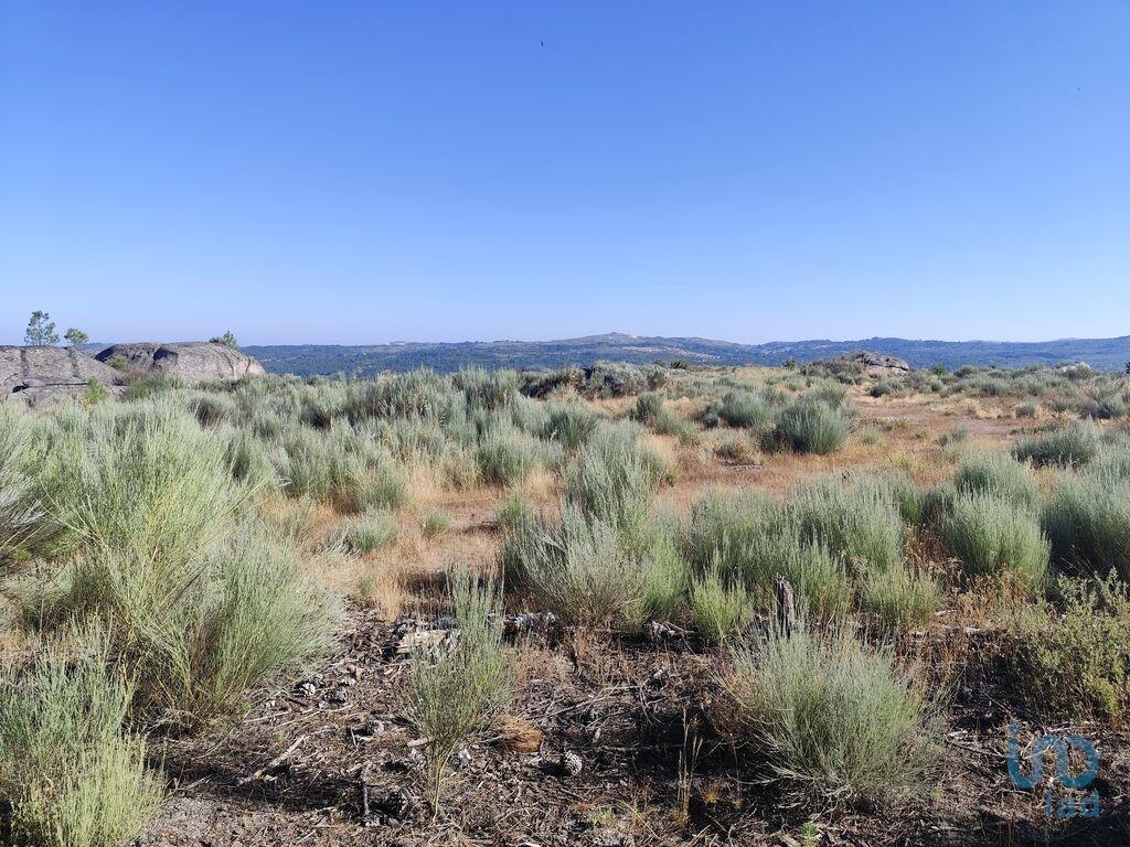  قطعة أرض في Sernancelhe, Portugal 51606متر مربع رقم 291623