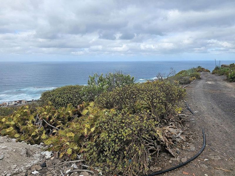 1 Schlafzimmer Haus in Arucas, Spain, Nr. 180406