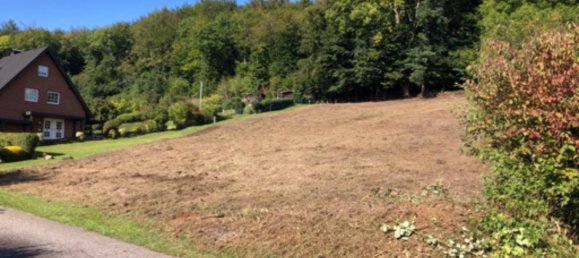  قطعة أرض في Lippe, Germany رقم 336490 2