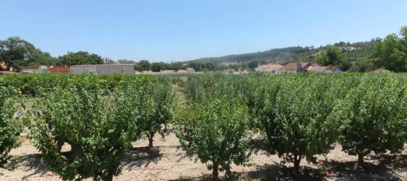 9 bedrooms Castles in Almeirim, Portugal No. 63121 2