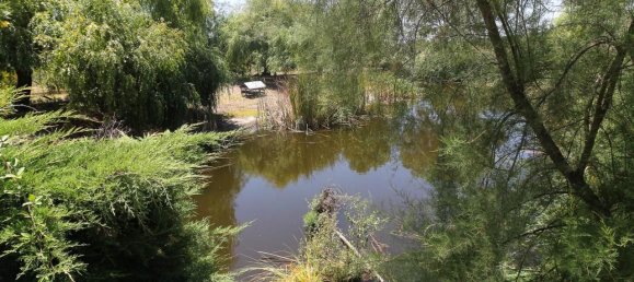 9 bedrooms Castles in Almeirim, Portugal No. 63121 40