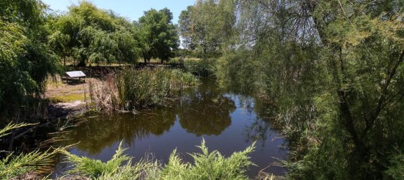 9 bedrooms Castles in Almeirim, Portugal No. 63121 41